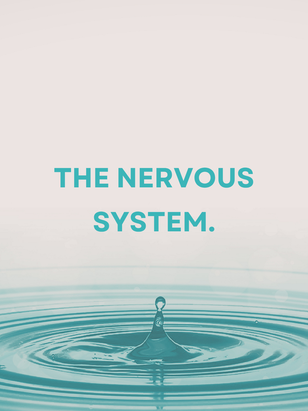 The Nervous System