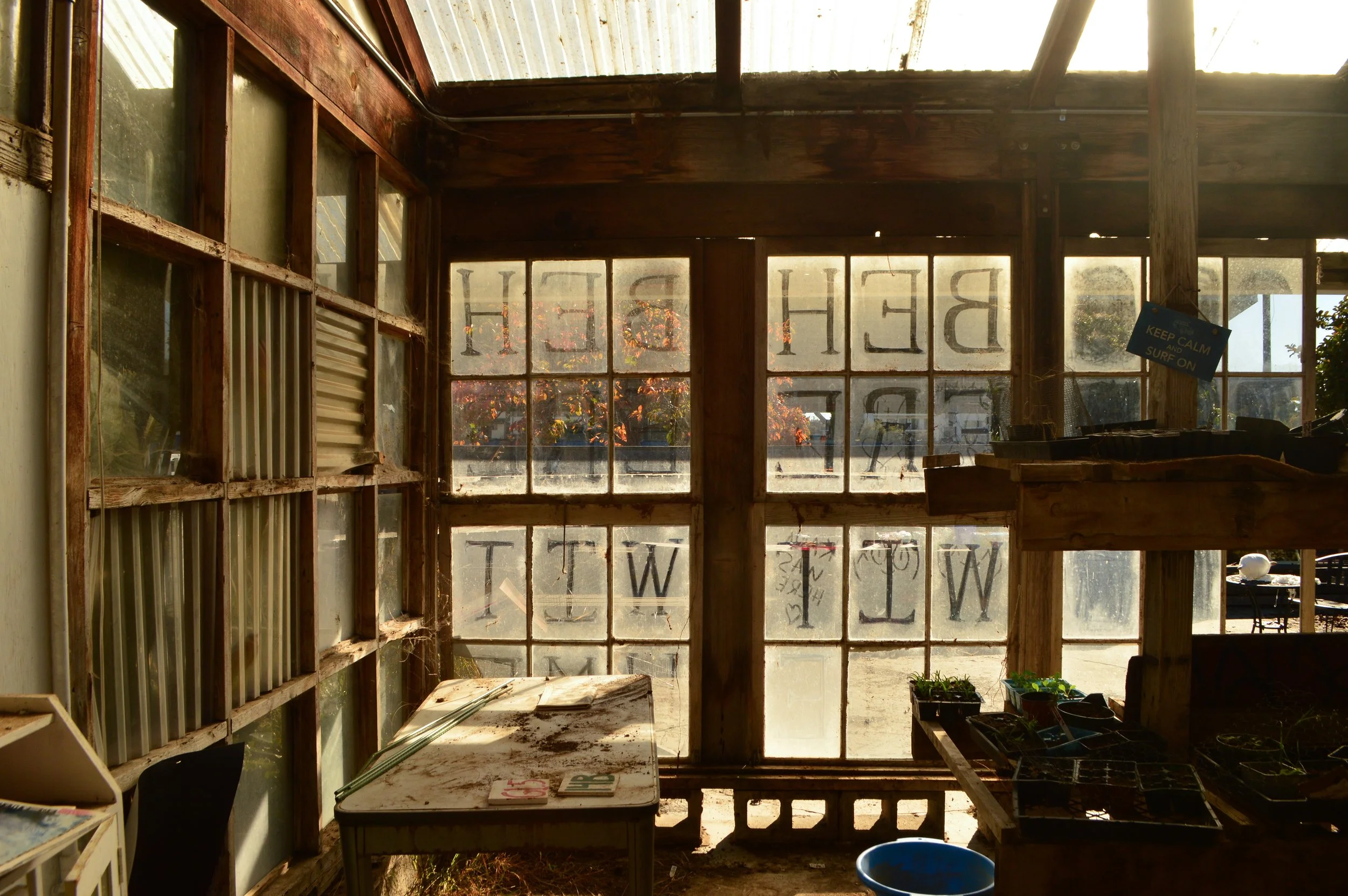 Text written in dust on window panes