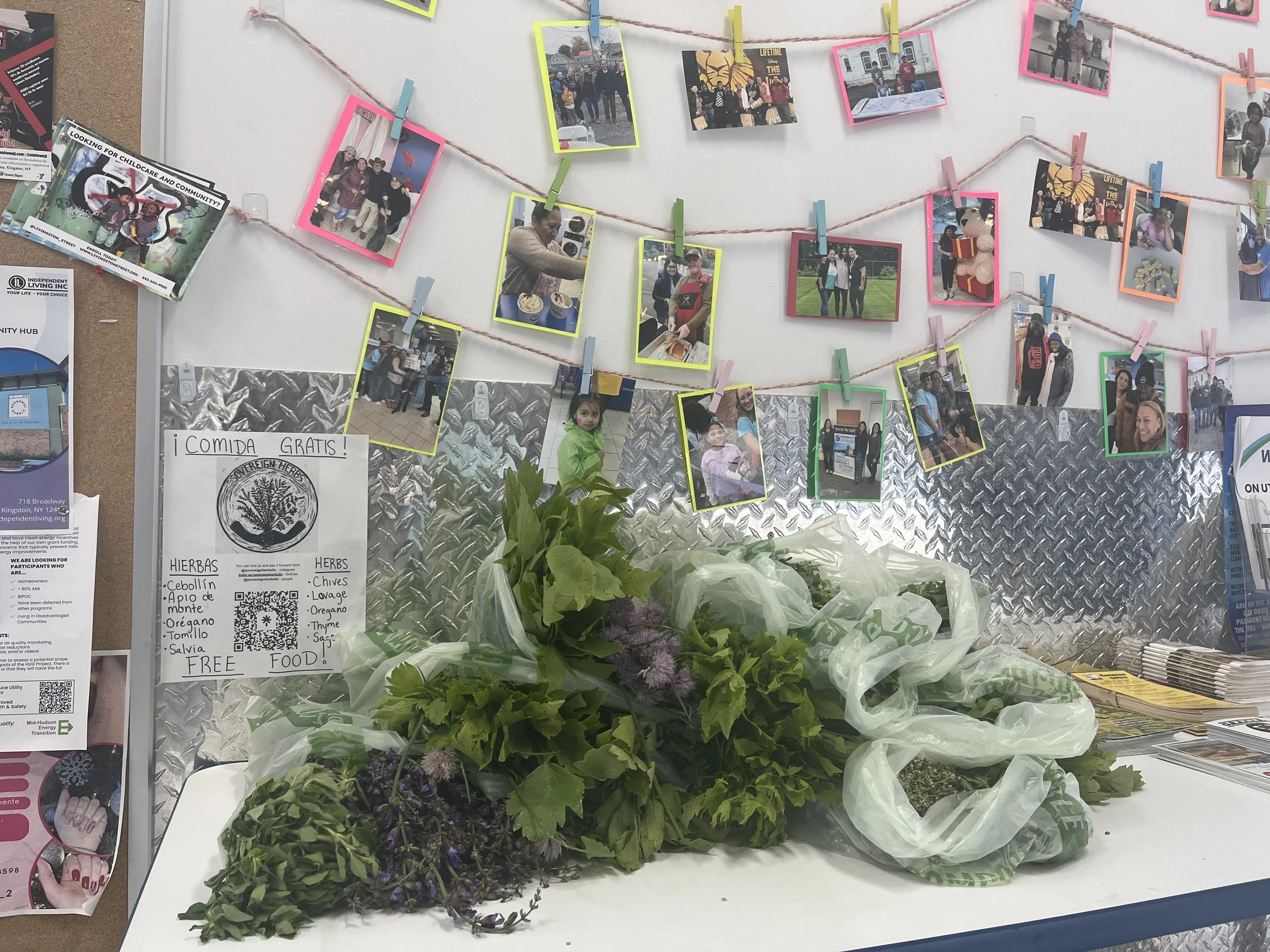 Kingston Farmers Market