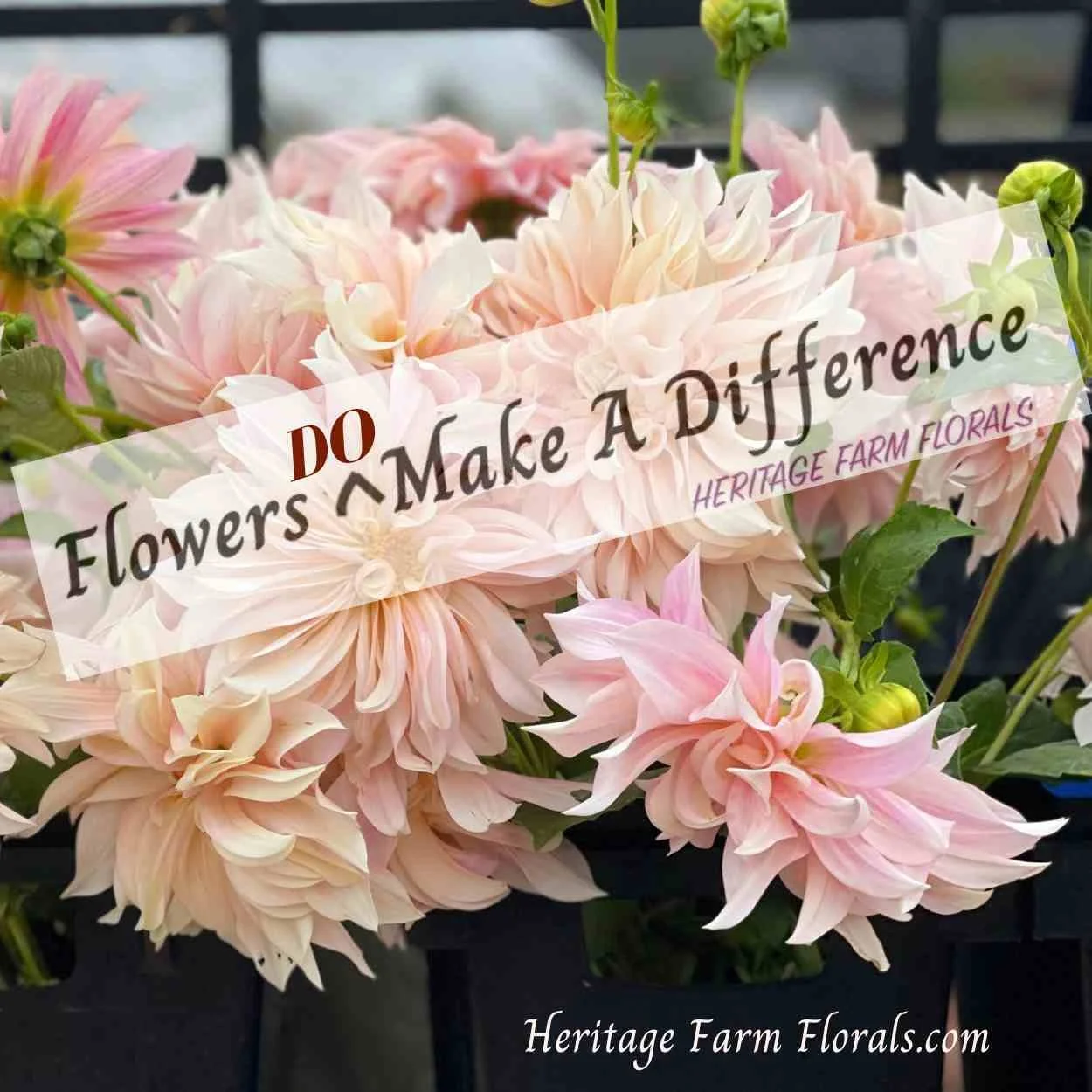 Heritage Farm Florals 