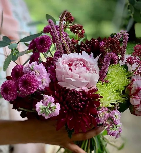 pincushion, peony, russian.jpeg