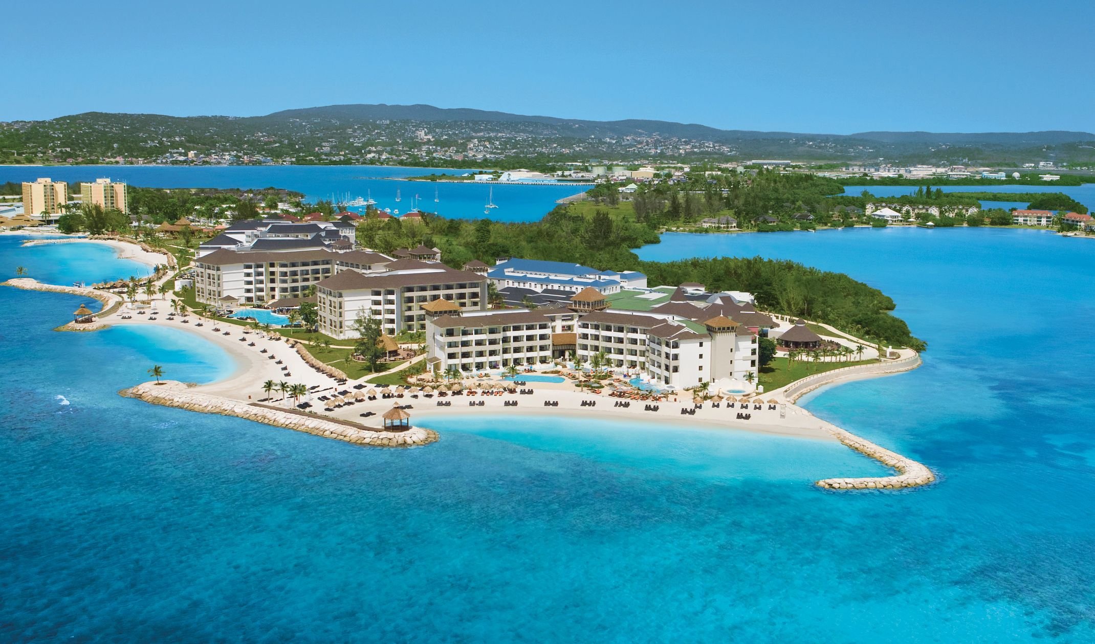Secrets Wild Orchid..jpeg