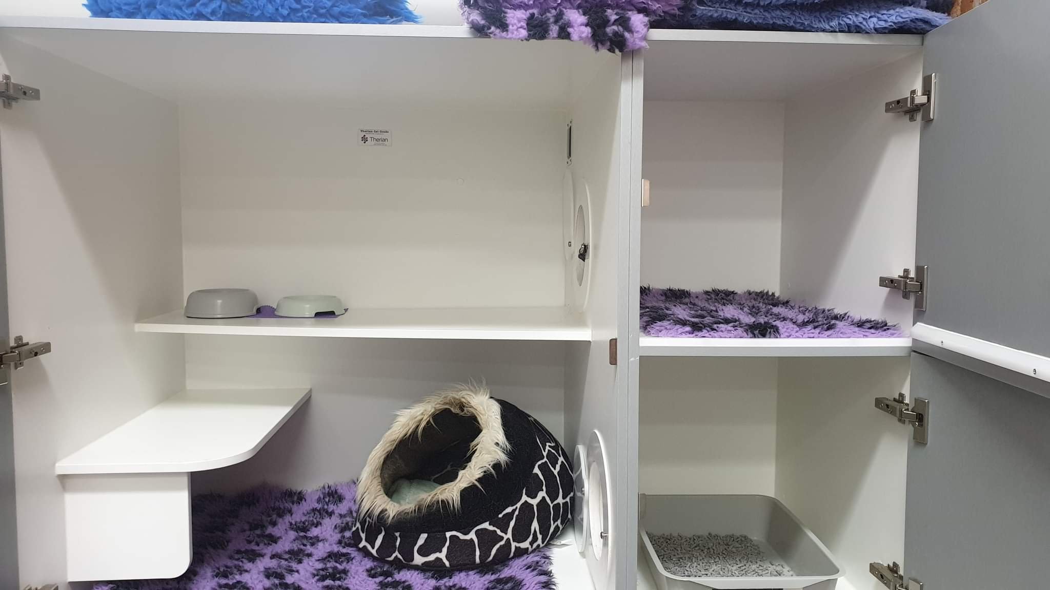 Progressive Boarding Cat Boarding — Progressive Vet Care
