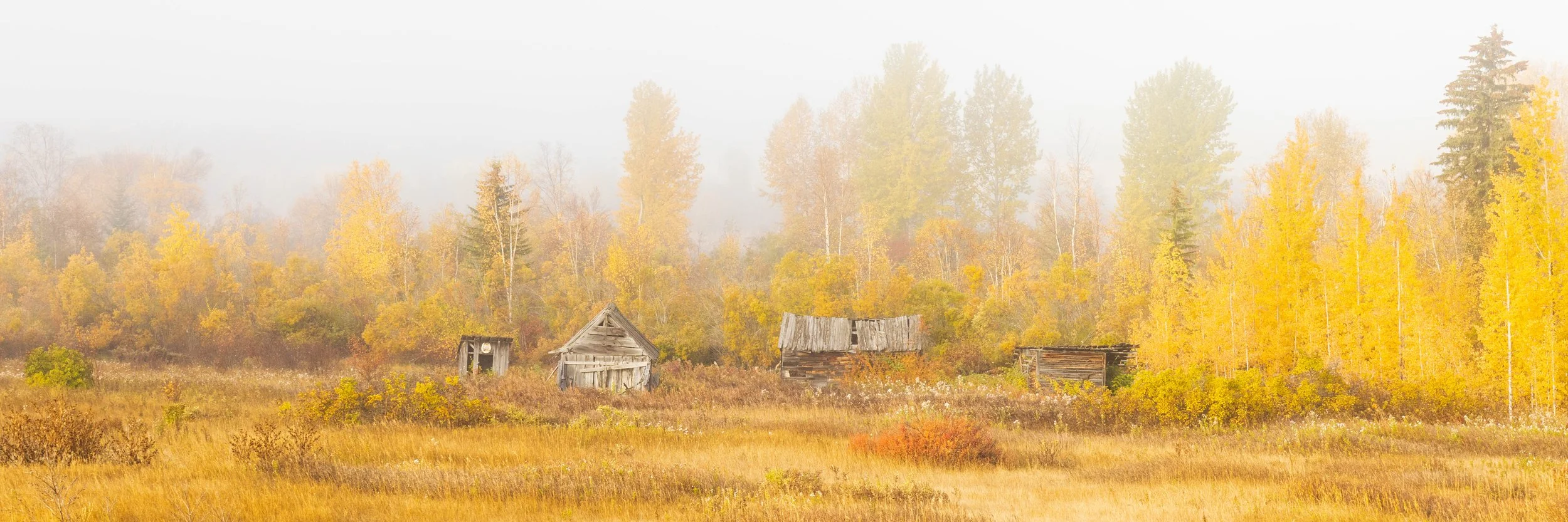 Foggy Kootenay barns