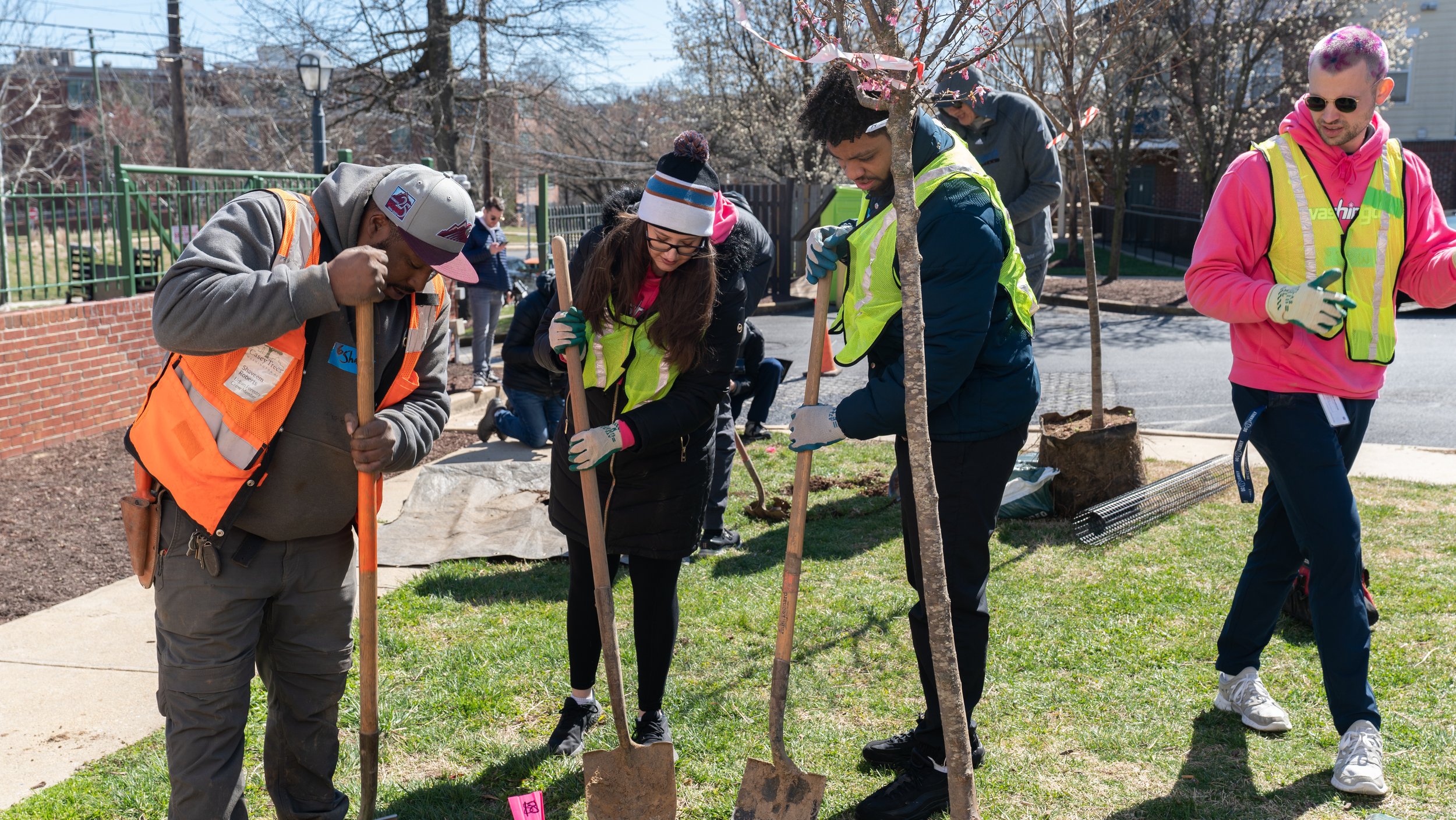 Cherry_Tree_Planting-39.jpg