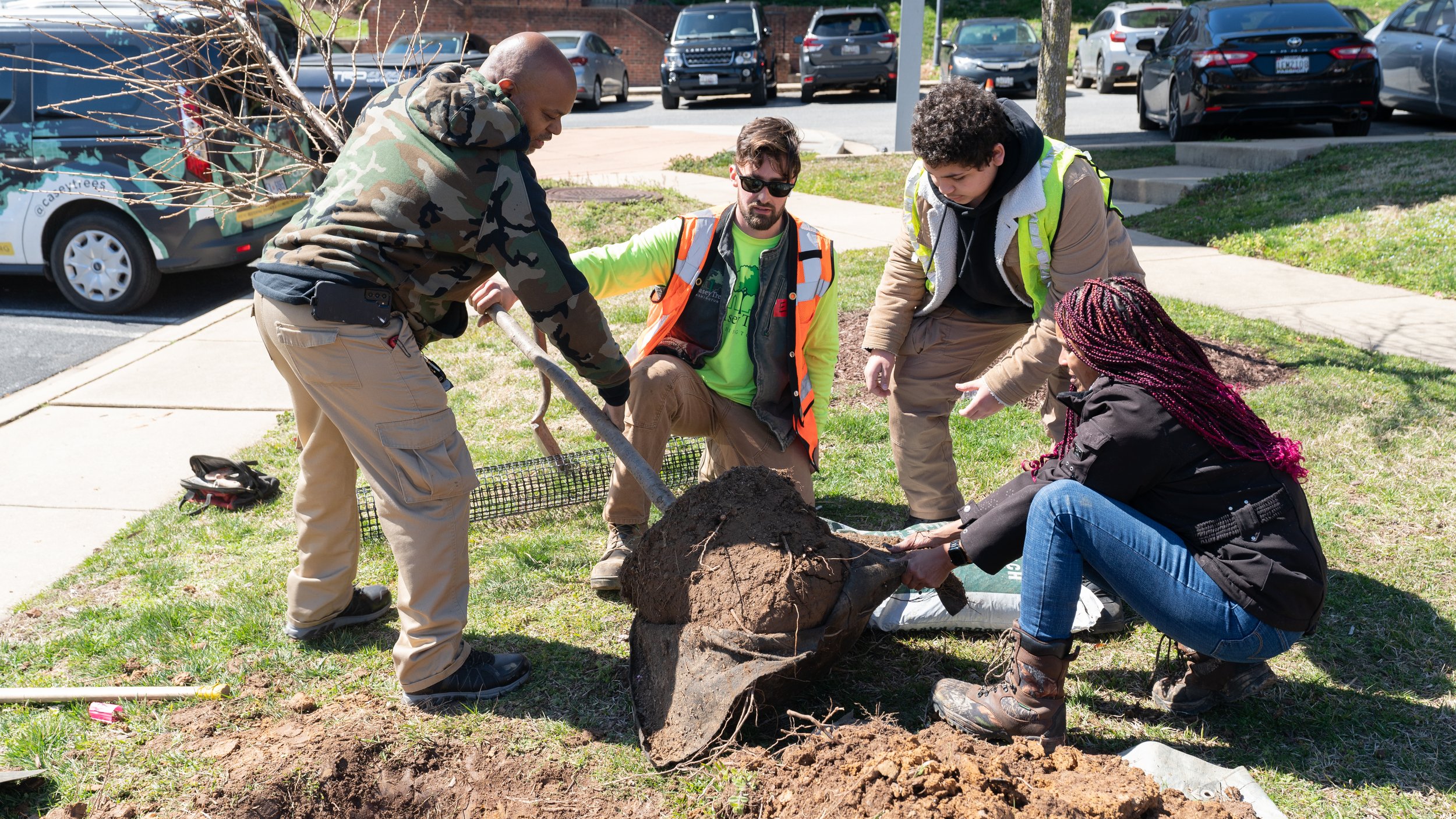 Cherry_Tree_Planting-67.jpg