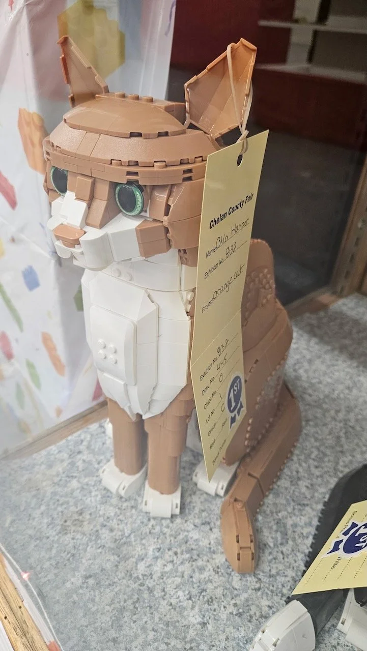 1000046240.jpeg