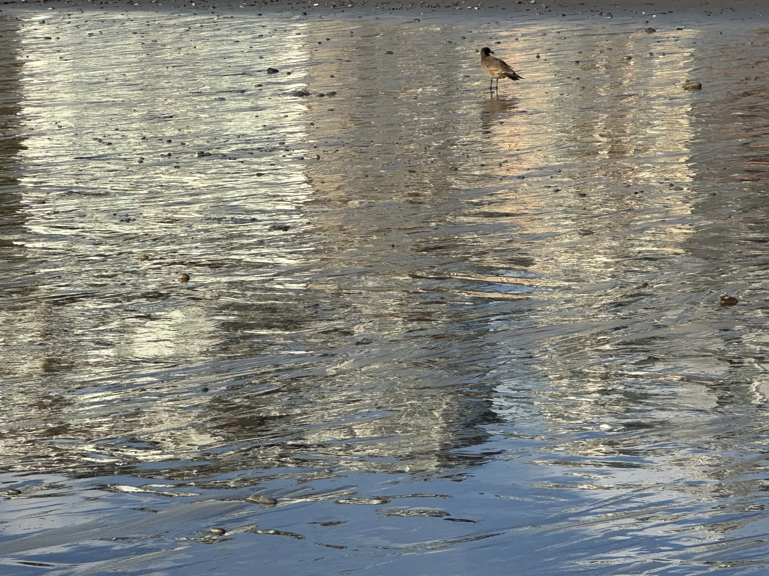 IMG_9139.jpeg