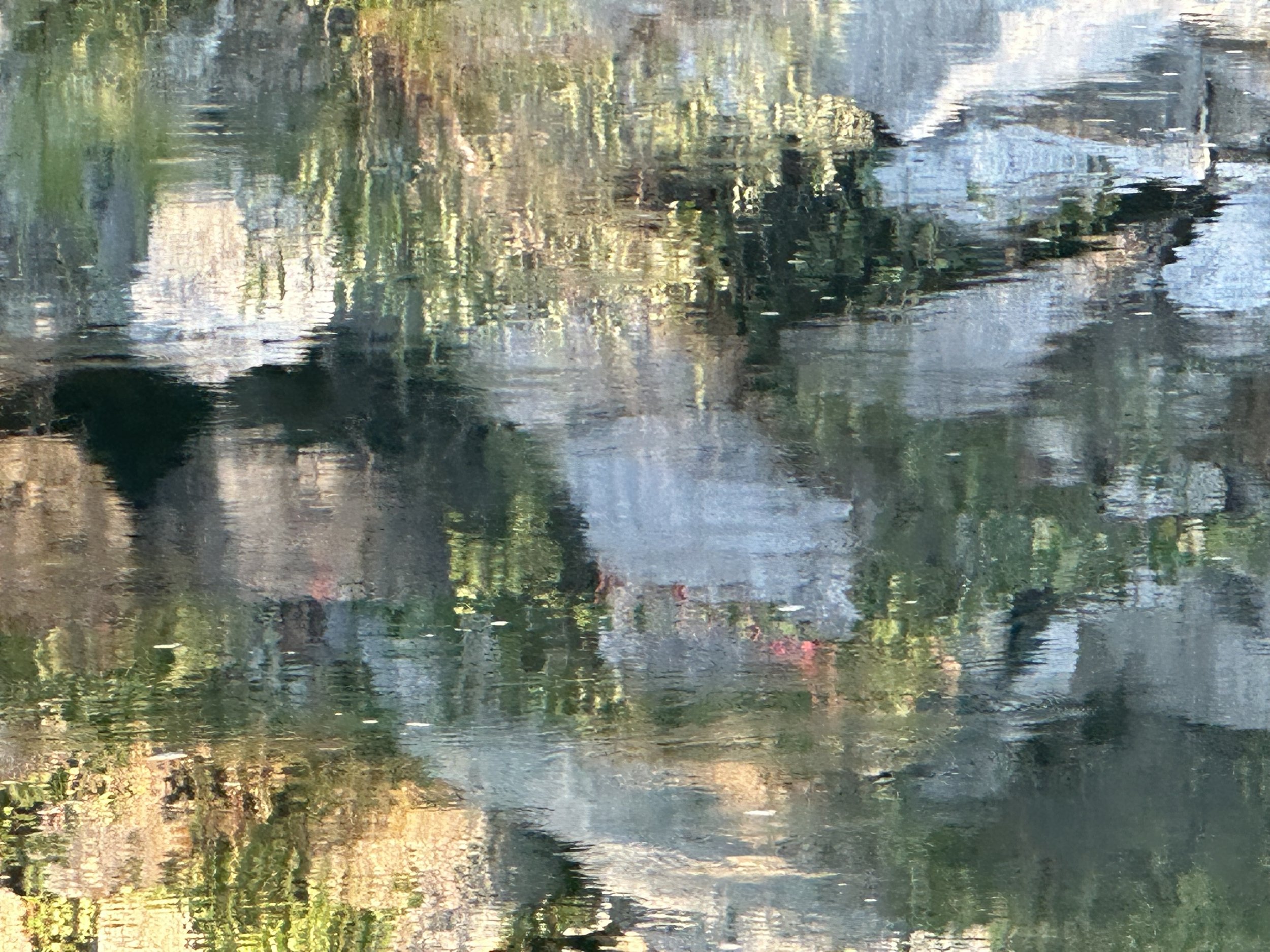 IMG_3830.jpeg