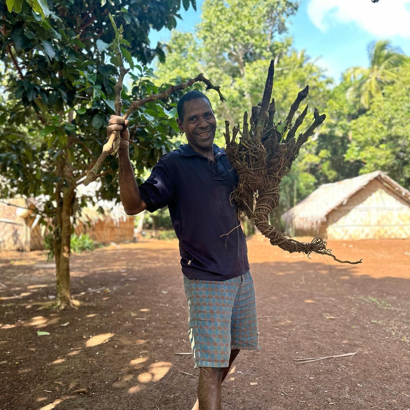 Banelang holding up some Kava roots that he harvested from his garden. It will be skinned, diced, smashed and squeezed, ready to be drank in the afternoon. If your interested in some of the custom ceremonies we have it this part of Vanuatu, feel free