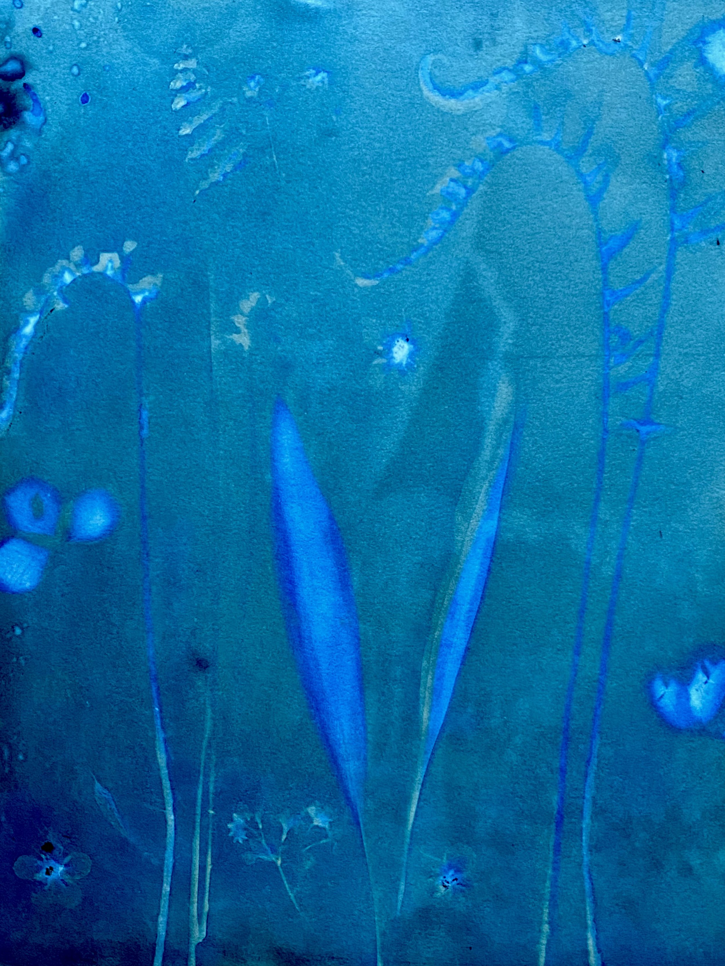wet cyanotype