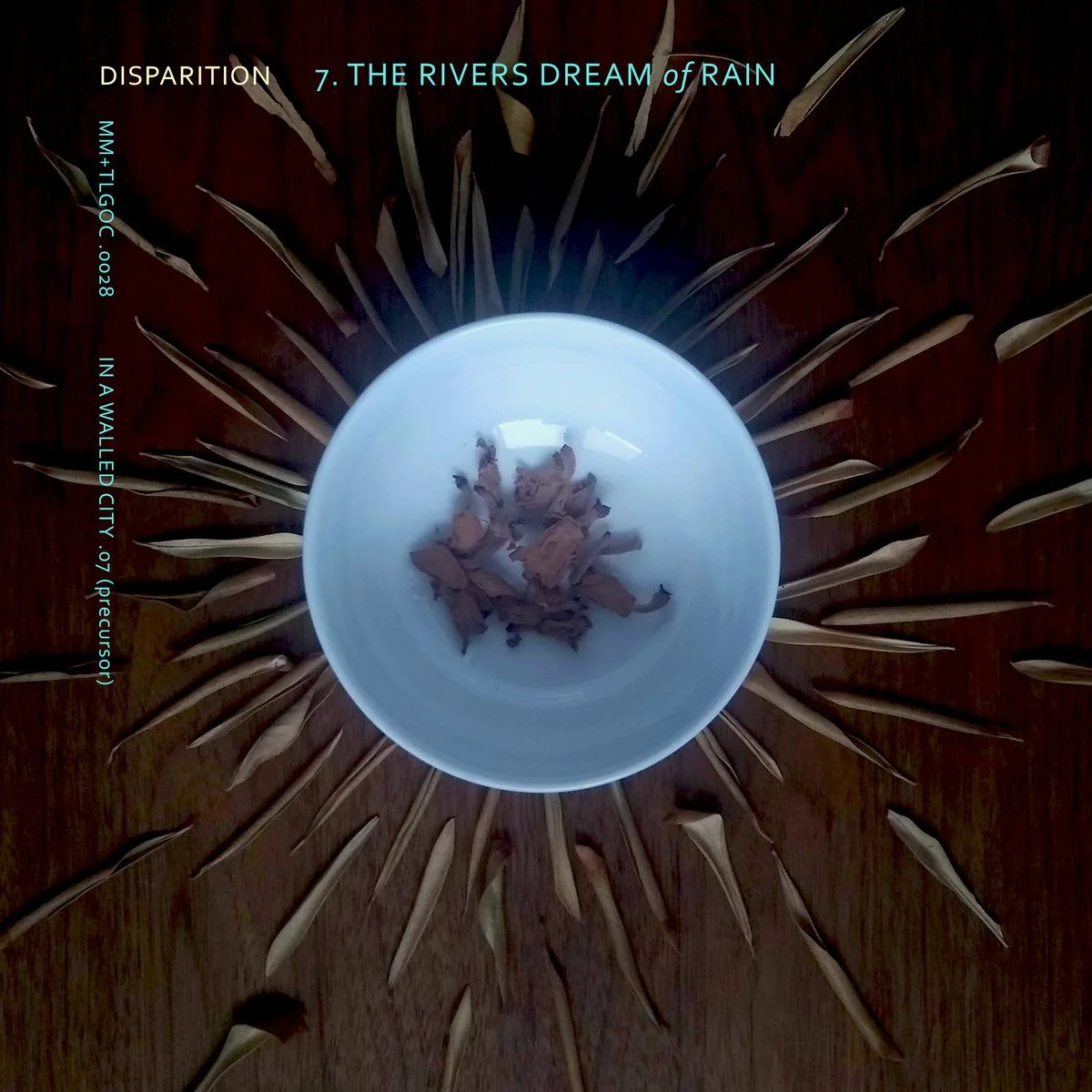 Album art for Disparition’s “The Rivers Dream of Rain” – a white ceramic bowl containing dried petals sits at the center of a radial arrangement of curled leaf blades on a wooden surface.