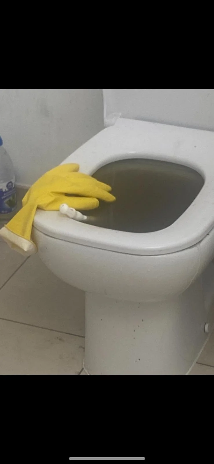 WhatsApp Image 2024-10-29 at 08.32.45.jpeg