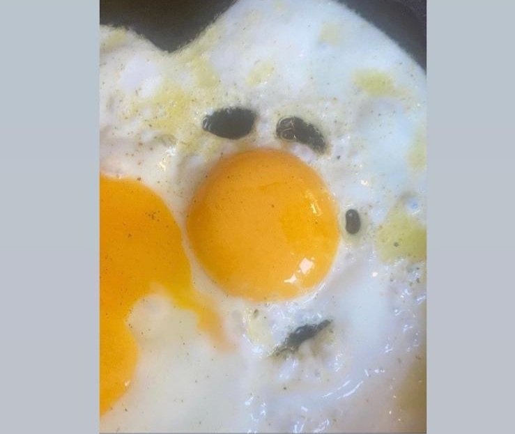 WhatsApp Image 2024-10-02 at 16.01.48.jpg