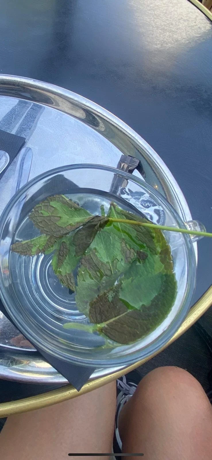 WhatsApp Image 2024-11-15 at 10.50.13.jpeg