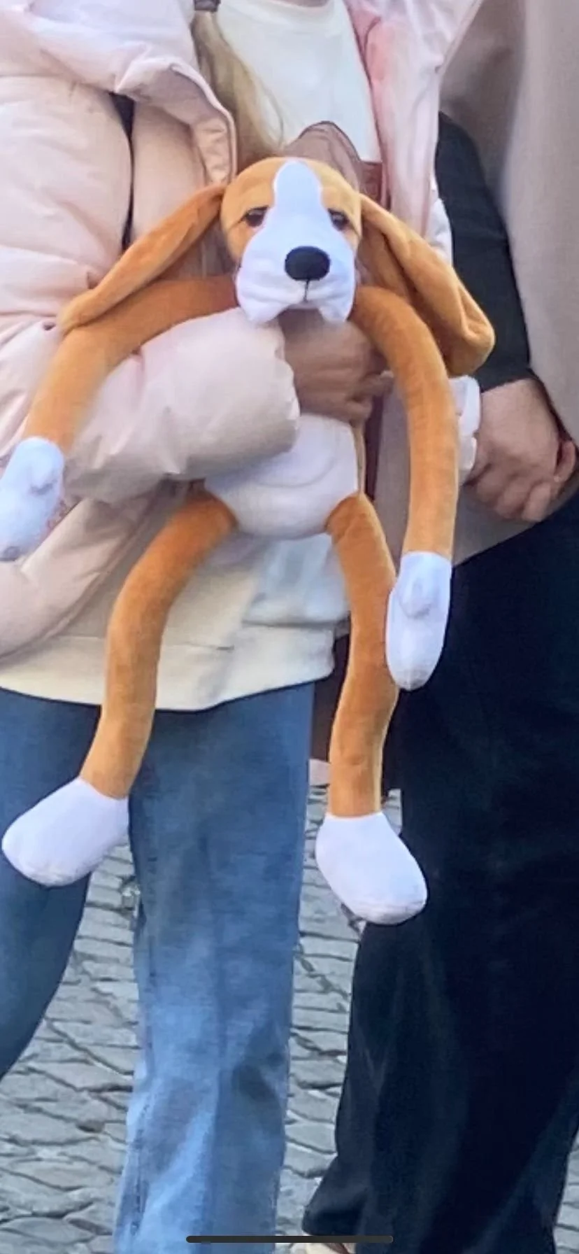 WhatsApp Image 2024-10-29 at 09.40.47.jpeg