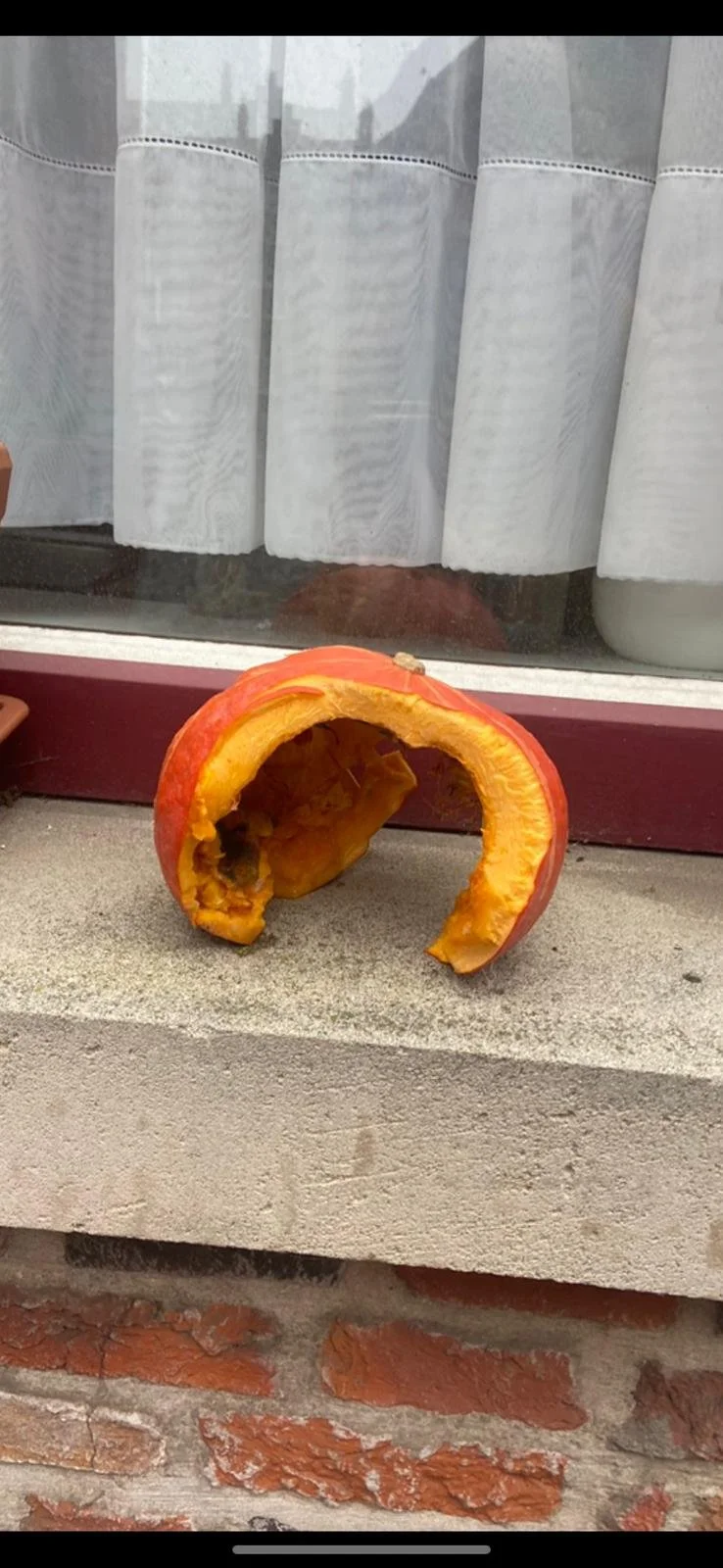 WhatsApp Image 2024-11-15 at 10.51.11.jpeg