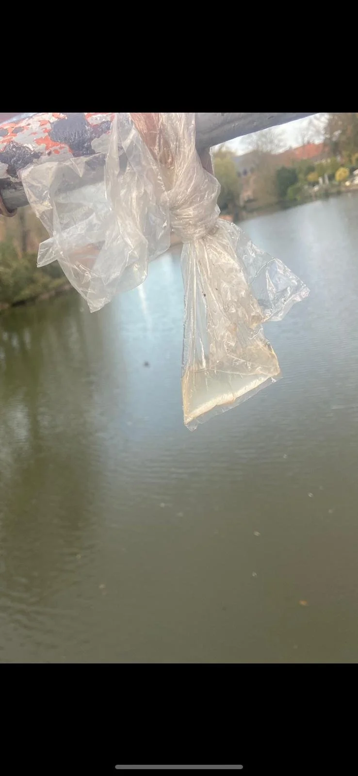 WhatsApp Image 2024-11-15 at 10.50.49.jpeg