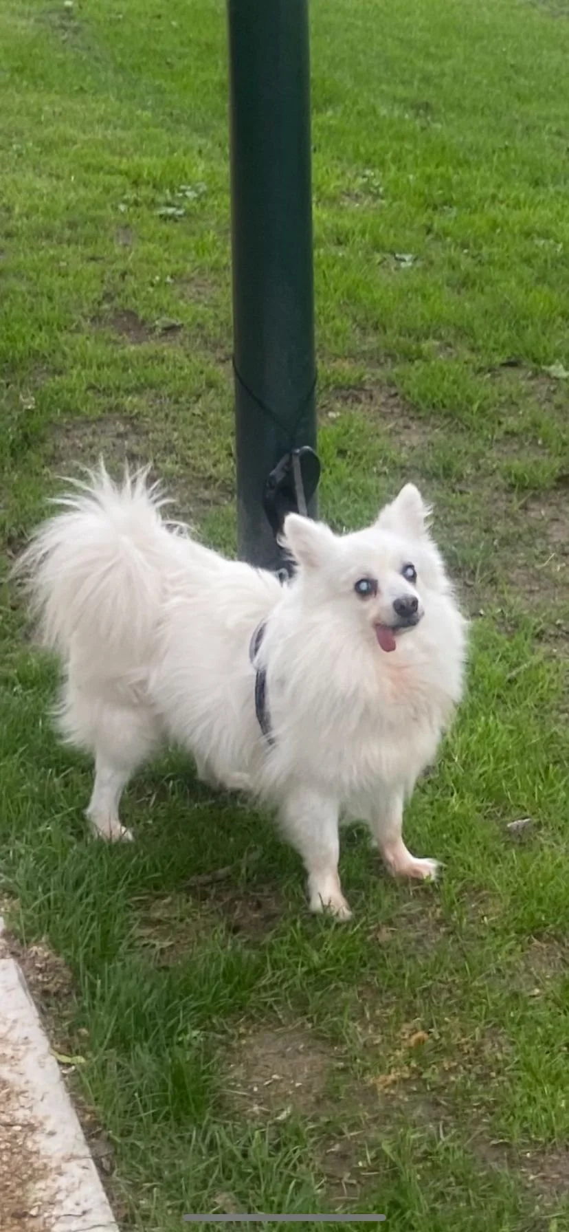 WhatsApp Image 2024-10-09 at 16.53.00.jpeg