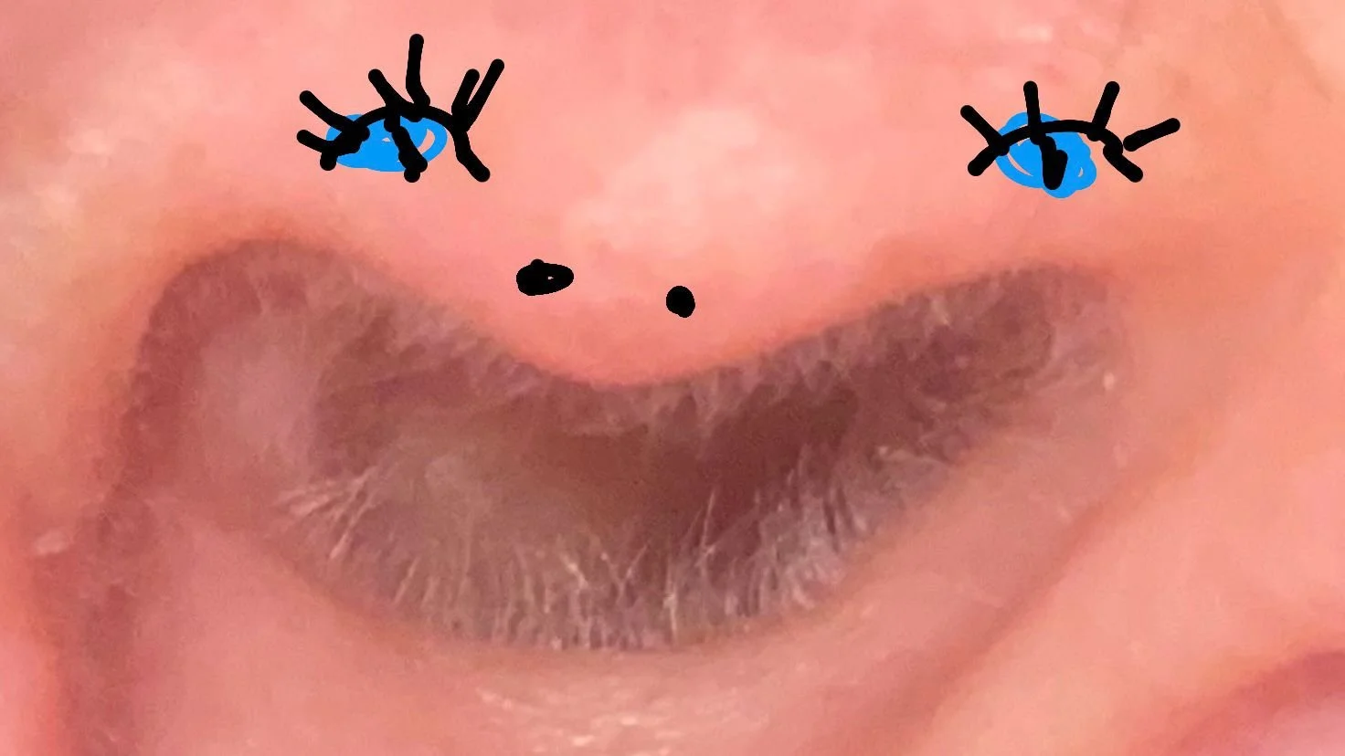 WhatsApp Image 2024-10-29 at 09.09.03.jpeg