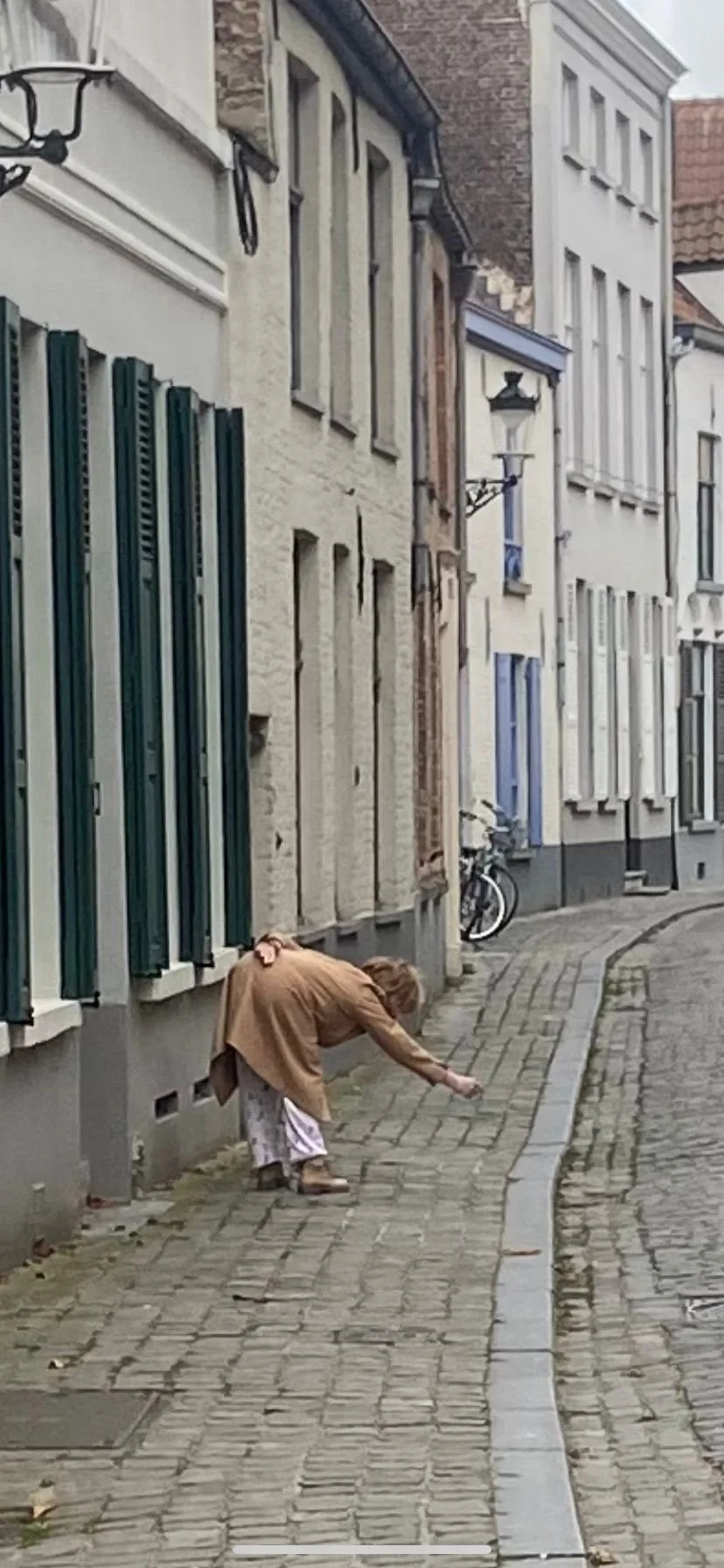 WhatsApp Image 2024-10-17 at 13.08.48.jpeg