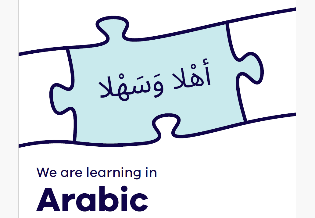 Network: Arabic language programs 
