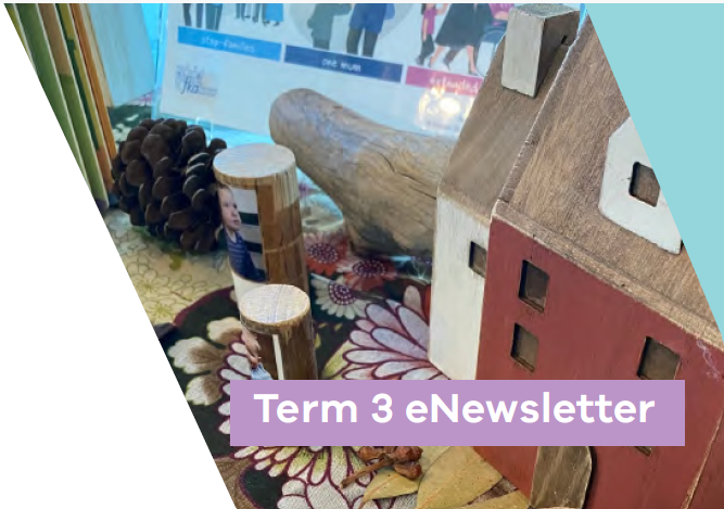 Newsletter 25: Term 3 2026 