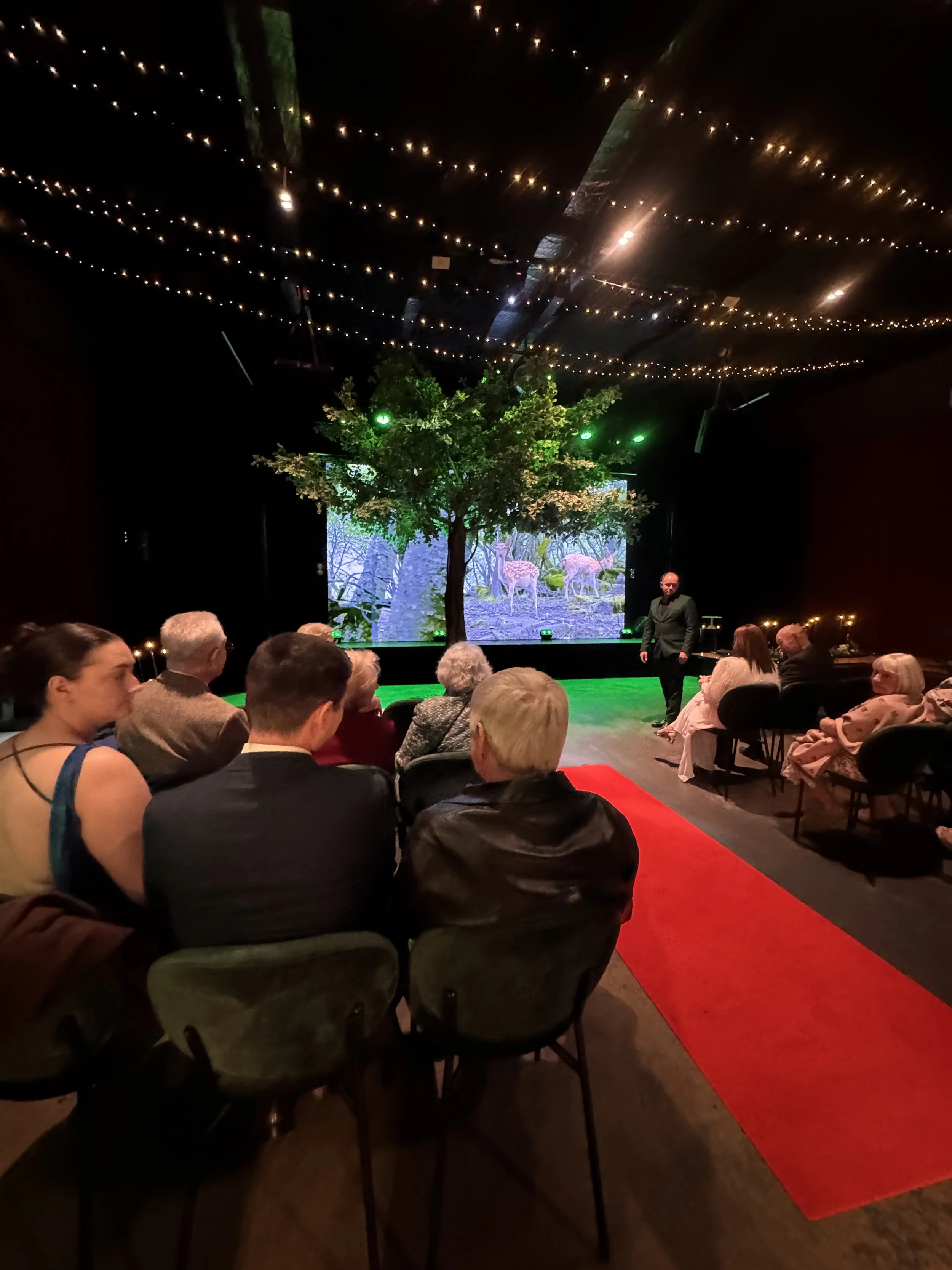 An audience seated in dark green velvet chairs views a ceremony taking place near the stage. A red carpet runner stretches through the room toward an artificial tree prop and a woodland screen display.