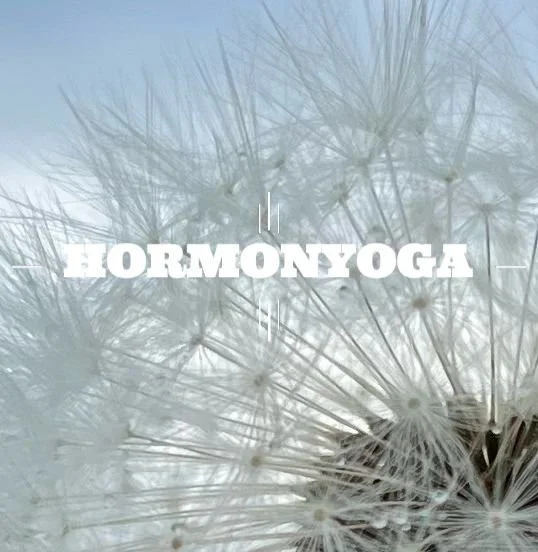 Einführung ins Hormonyoga