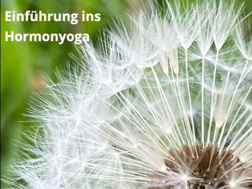 Einführung ins Hormonyoga