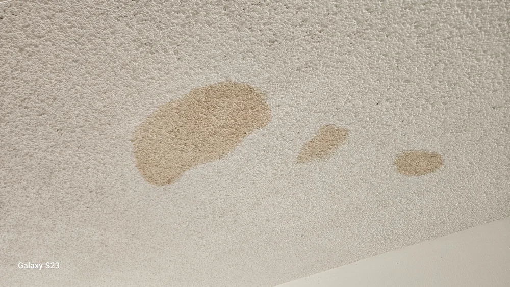 Ceiling condition during the Hallandale Beach mold assessment