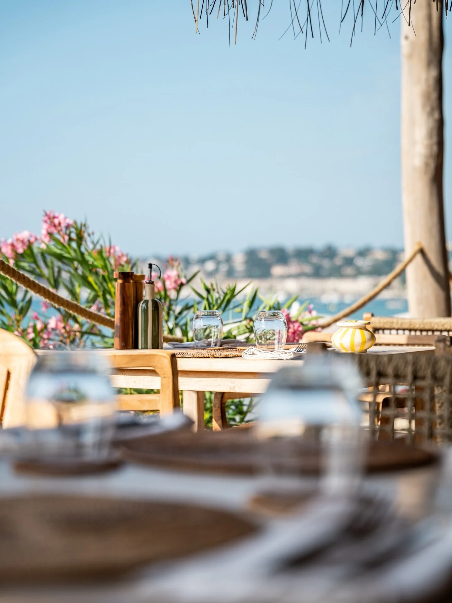 Voyage garanti d&egrave;s votre arriv&eacute;e&hellip; ✨🌴

Toute notre d&eacute;co a &eacute;t&eacute; pens&eacute;e et choisie avec soin, dans un style balinais 🪷☀️
Un univers chaleureux et d&eacute;paysant, imagin&eacute; pour vous faire voyager 