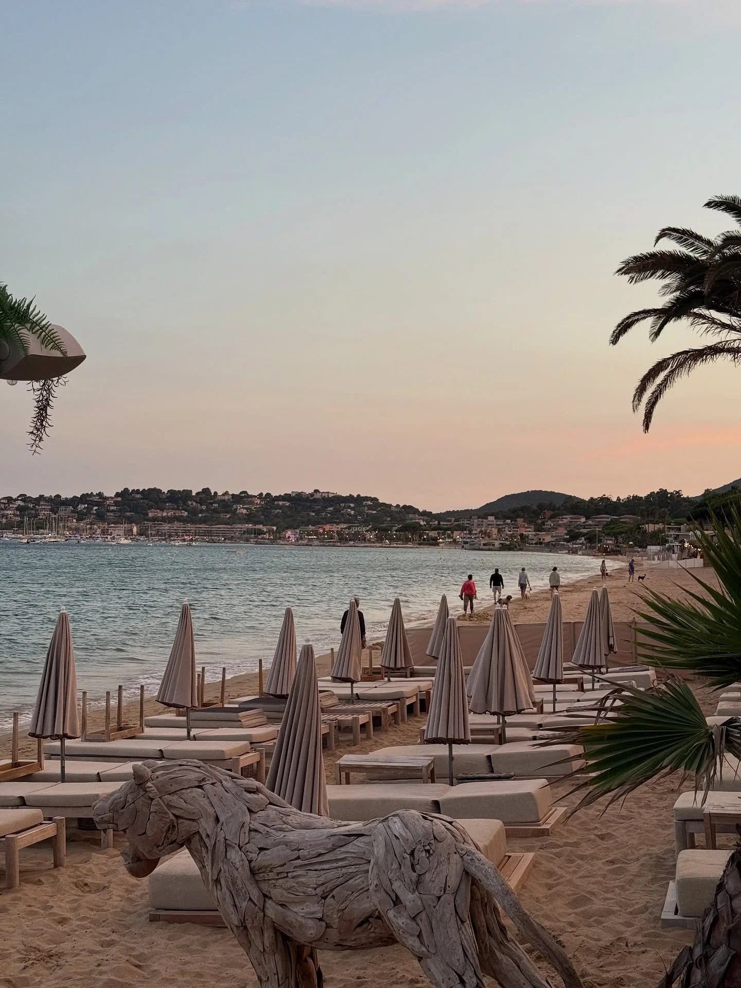 🌊✨ Clap de fin pour cette belle saison au Playa Mezcala !
Notre plage a ferm&eacute; hier et toute l&rsquo;&eacute;quipe souhaite adresser un immense merci &agrave; chacun d&rsquo;entre vous 💛

Merci pour tous vos sourires, vos bons moments partag&