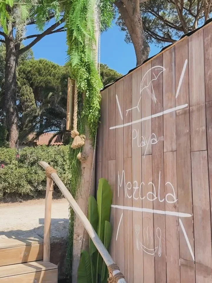 ✨ Toute l&rsquo;&eacute;quipe de Playa Mezcala vous souhaite un merveilleux No&euml;l ✨

M&ecirc;me si la plage est silencieuse pour l&rsquo;hiver, vous faites toujours partie de la maison.
Merci pour votre fid&eacute;lit&eacute;, vos sourires et les