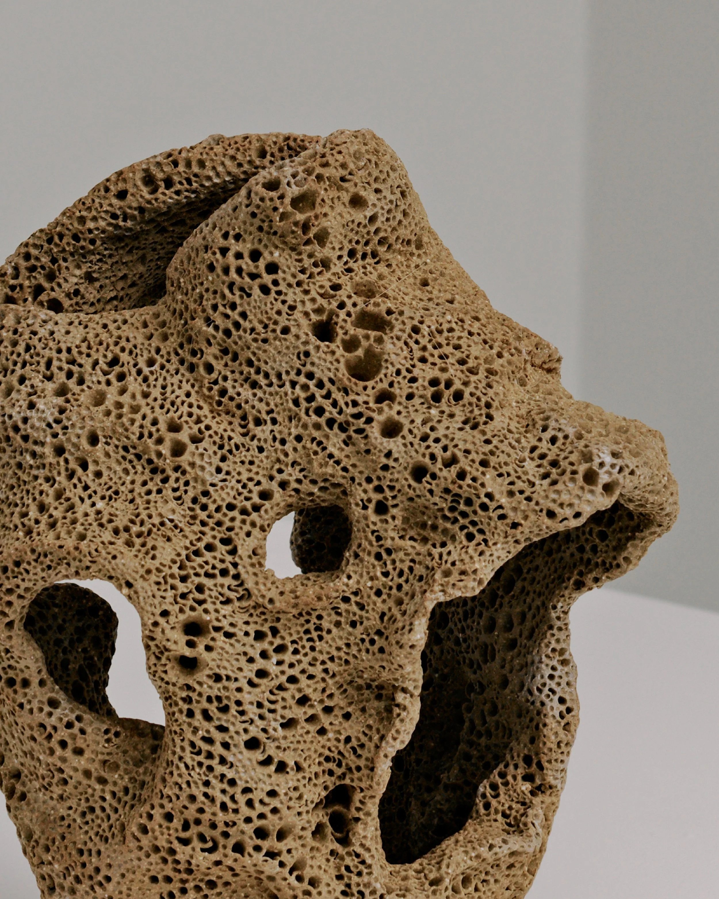 Coral-inspired ceramic sculpture by Melbourne ceramic artist Alyssa Nuttall, exploring reef ecosystems, fragility and environmental change.