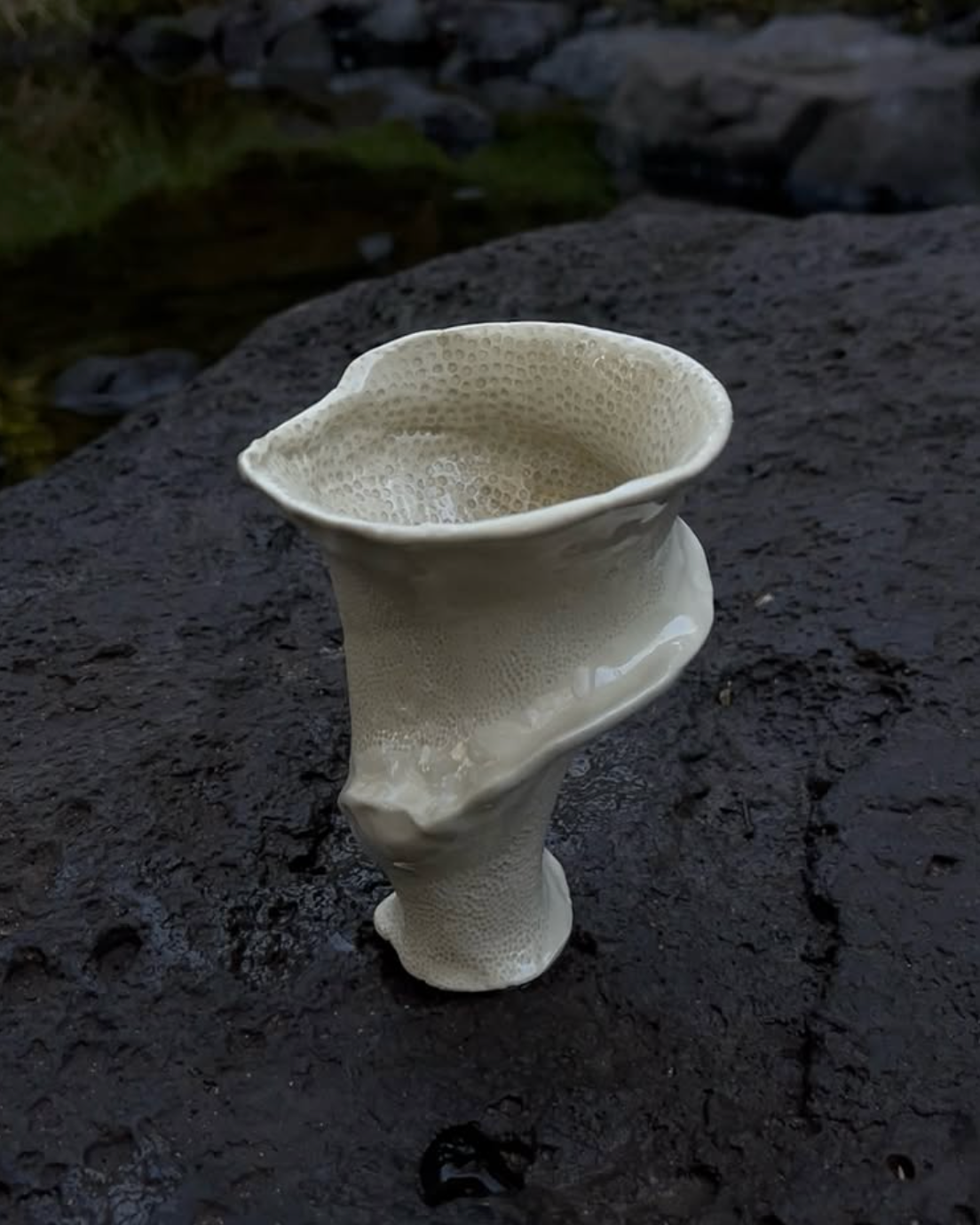A white, porous mushroom with a curvy, flowing shape growing out of dark soil near a small water body.