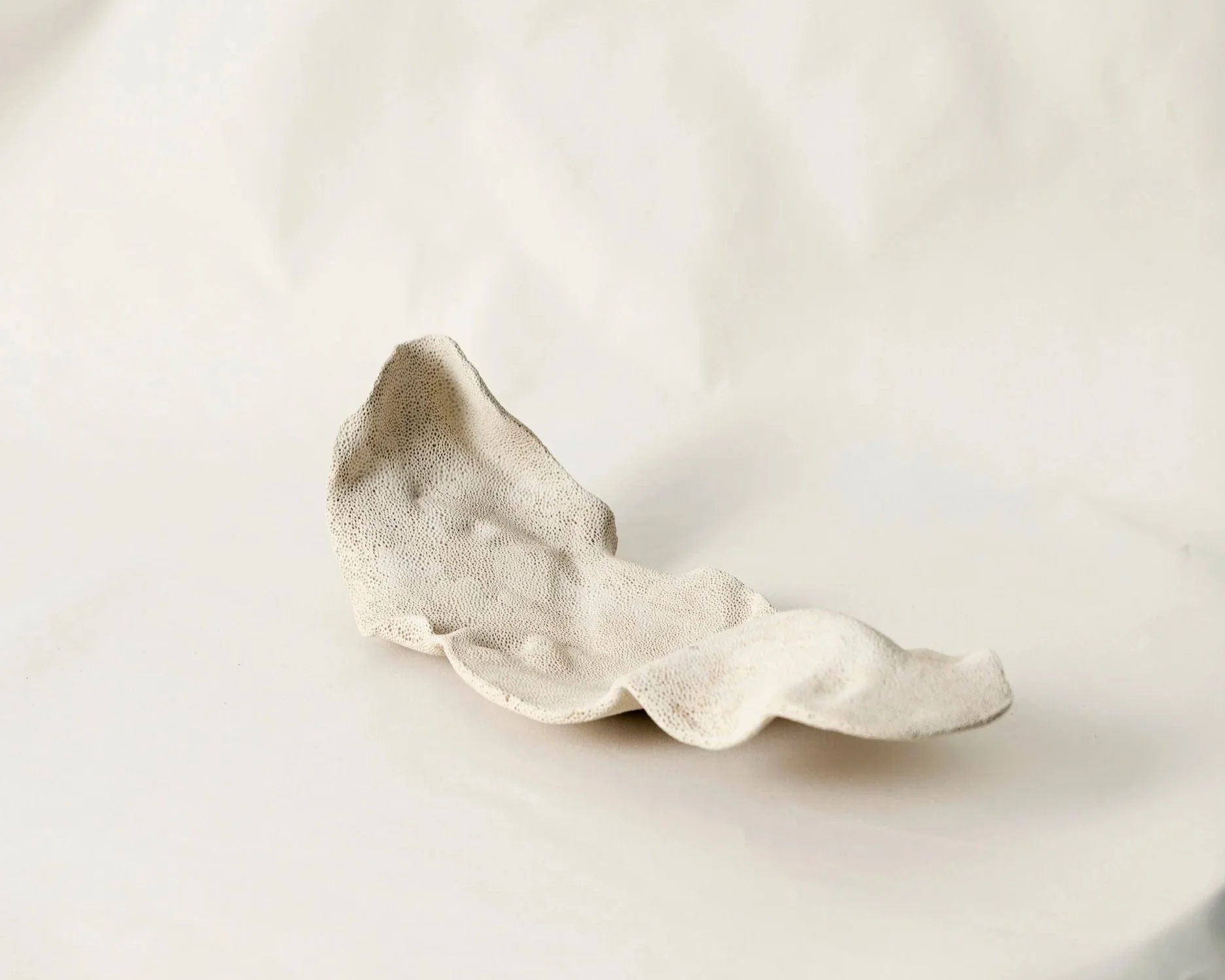 Sculptural and functional coral-inspired ceramic vessel by Melbourne ceramic artist Alyssa Nuttall, designed for contemporary dining and inspired by coastal and reef ecosystems.