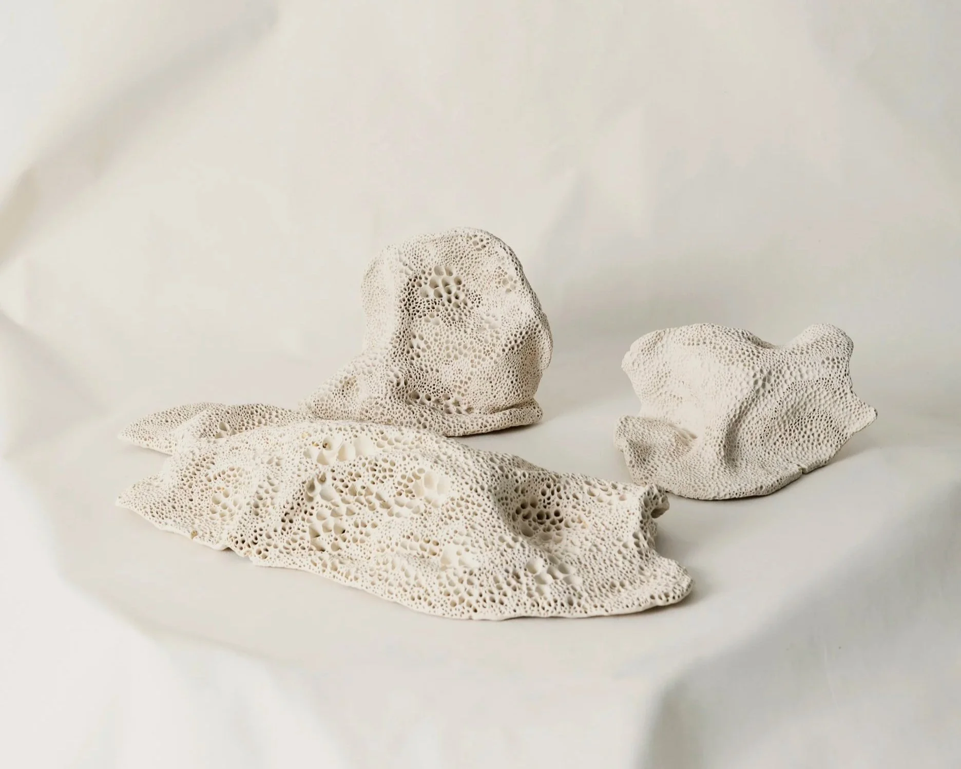 Sculptural and functional coral-inspired ceramic vessels by Melbourne ceramic artist Alyssa Nuttall, hand-textured and influenced by coastal and reef ecosystems.