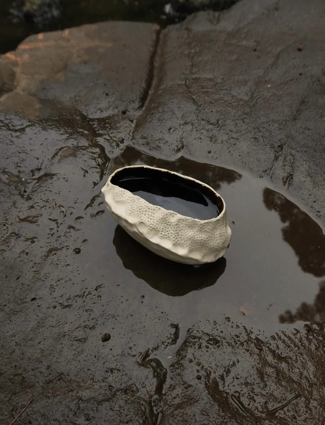 A seashell-shaped cup floating in a shallow puddle of water on a muddy surface.