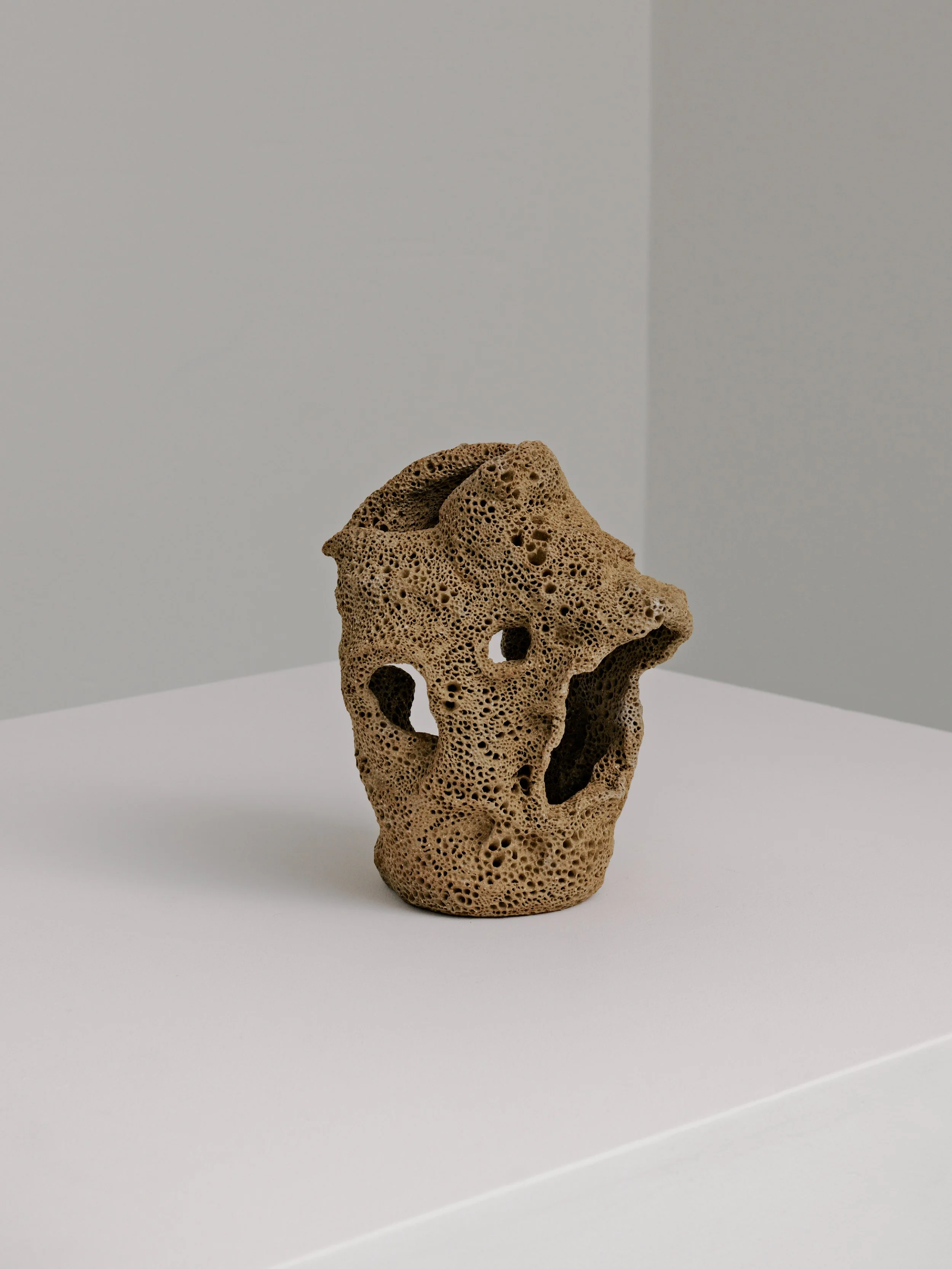 Coral-inspired ceramic sculpture by Melbourne ceramic artist Alyssa Nuttall, exploring reef ecosystems, fragility and environmental change.