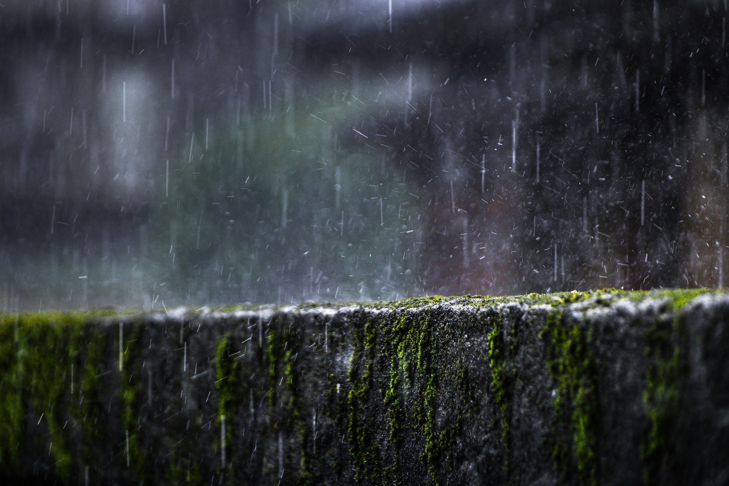 Embrace the Elements.