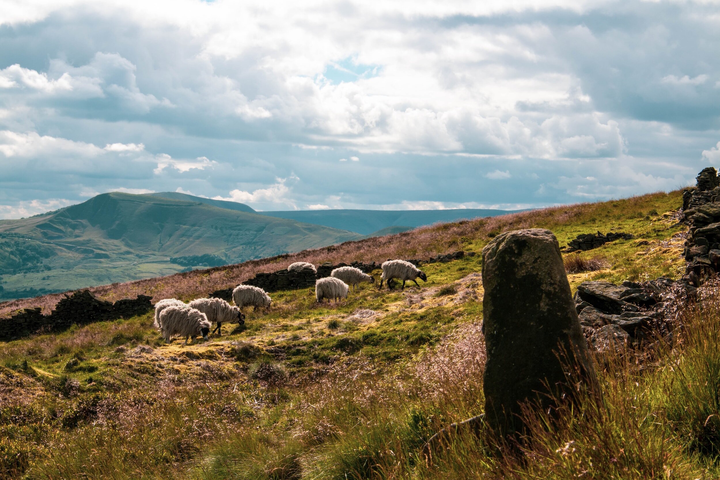 Exploring Nature's Treasures: Unveiling the Top 3 Walks in the Peak District: