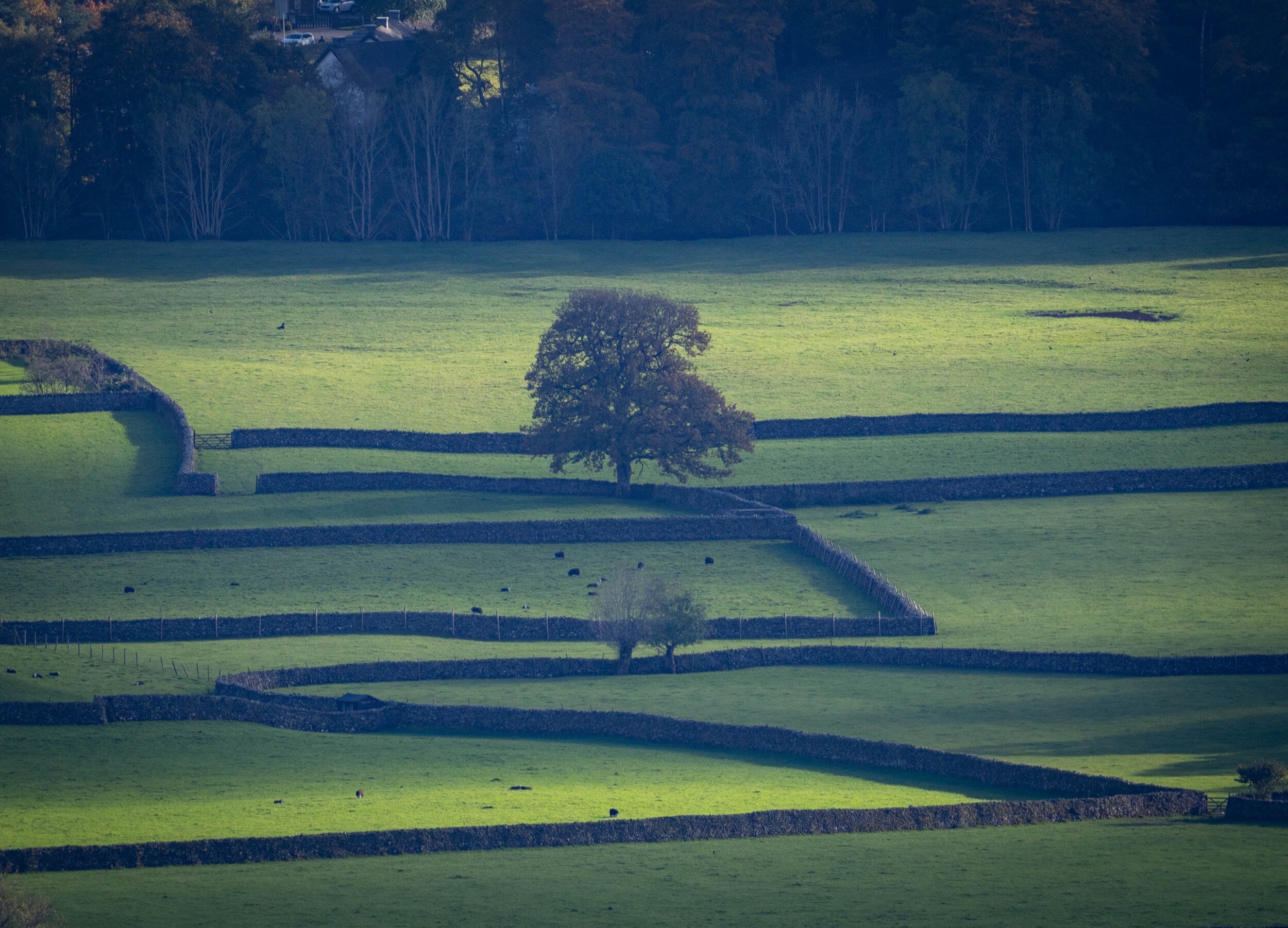Exploring the Great Outdoors: The Best Places to Stay in Keswick