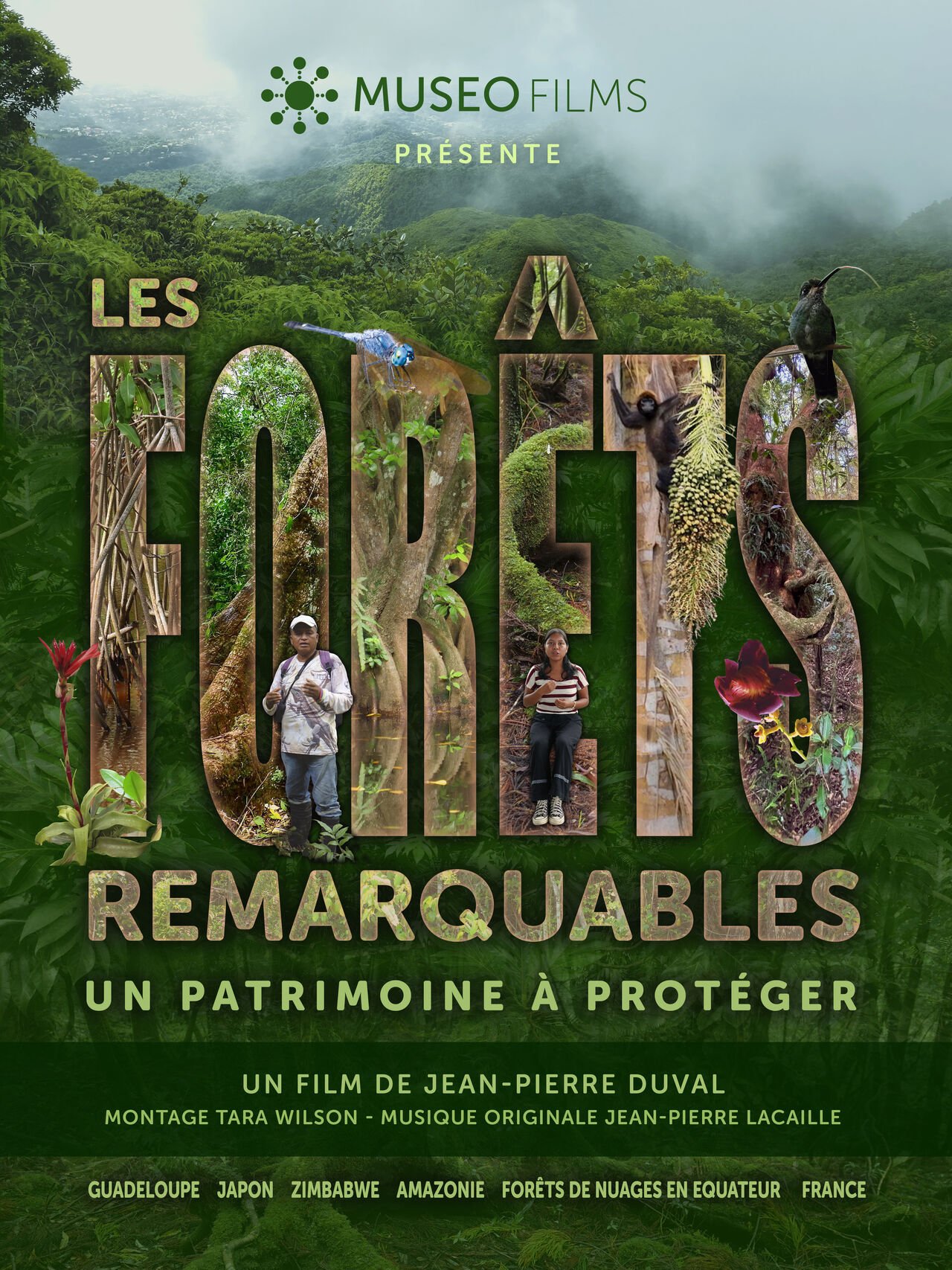 Le film “Les forêts remarquables, un patrimoine à protéger” en avant-première