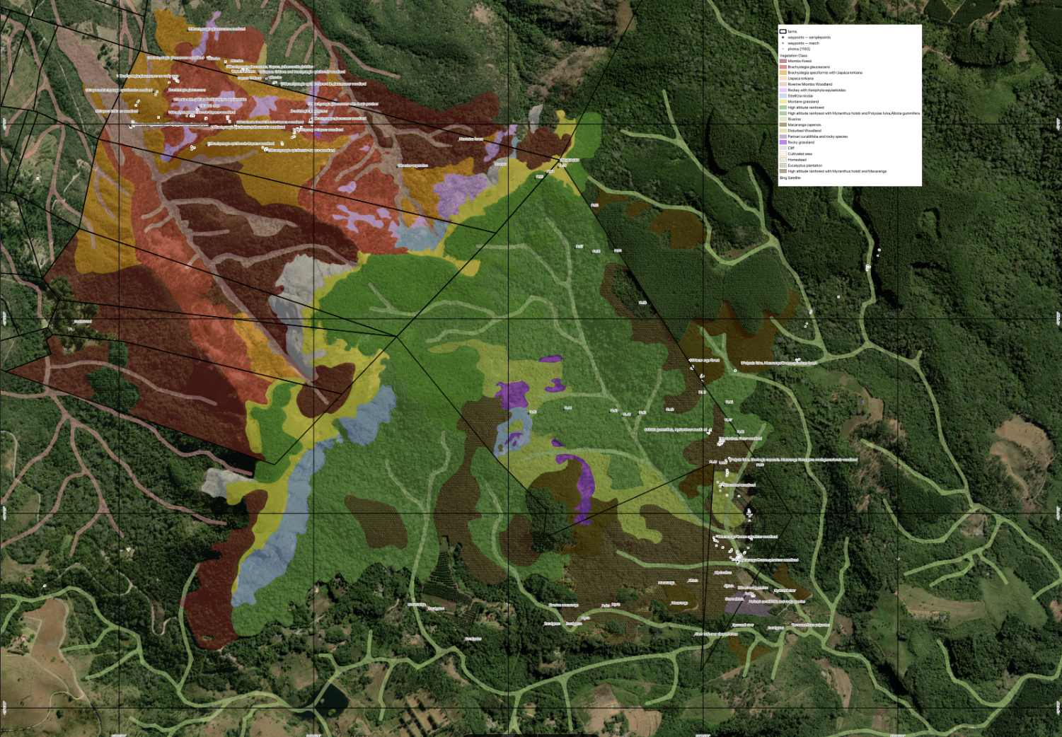 La diversité de la forêt du Bvumba au Zimbabwe
