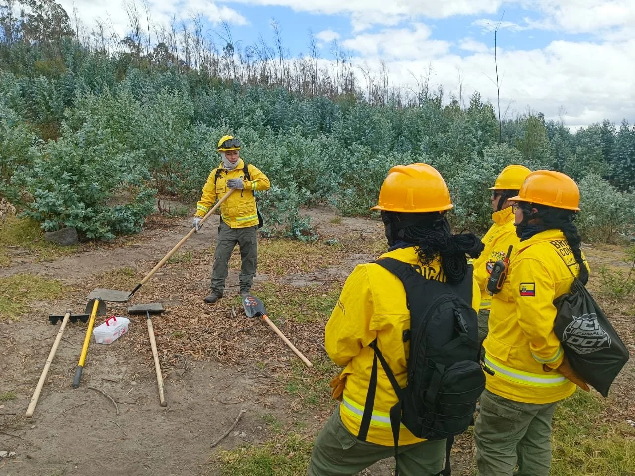 WhatsApp Image 2025-09-14 at 08.54.30.jpeg