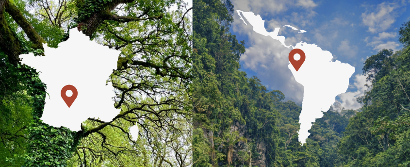 Nouveaux projets au Pérou et en France  