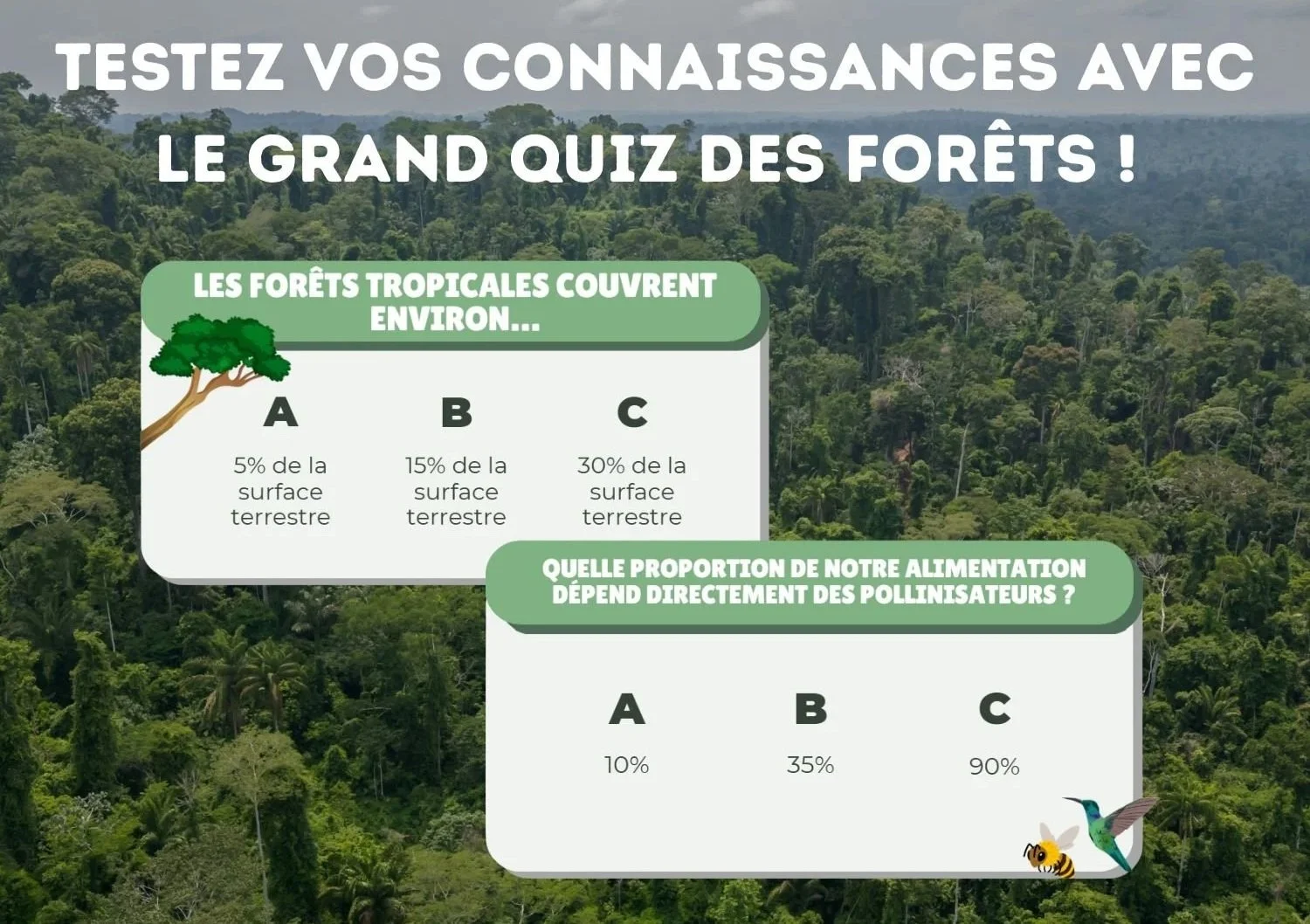 Testez vos connaissances à l’aide du Grand Quiz des Forêts