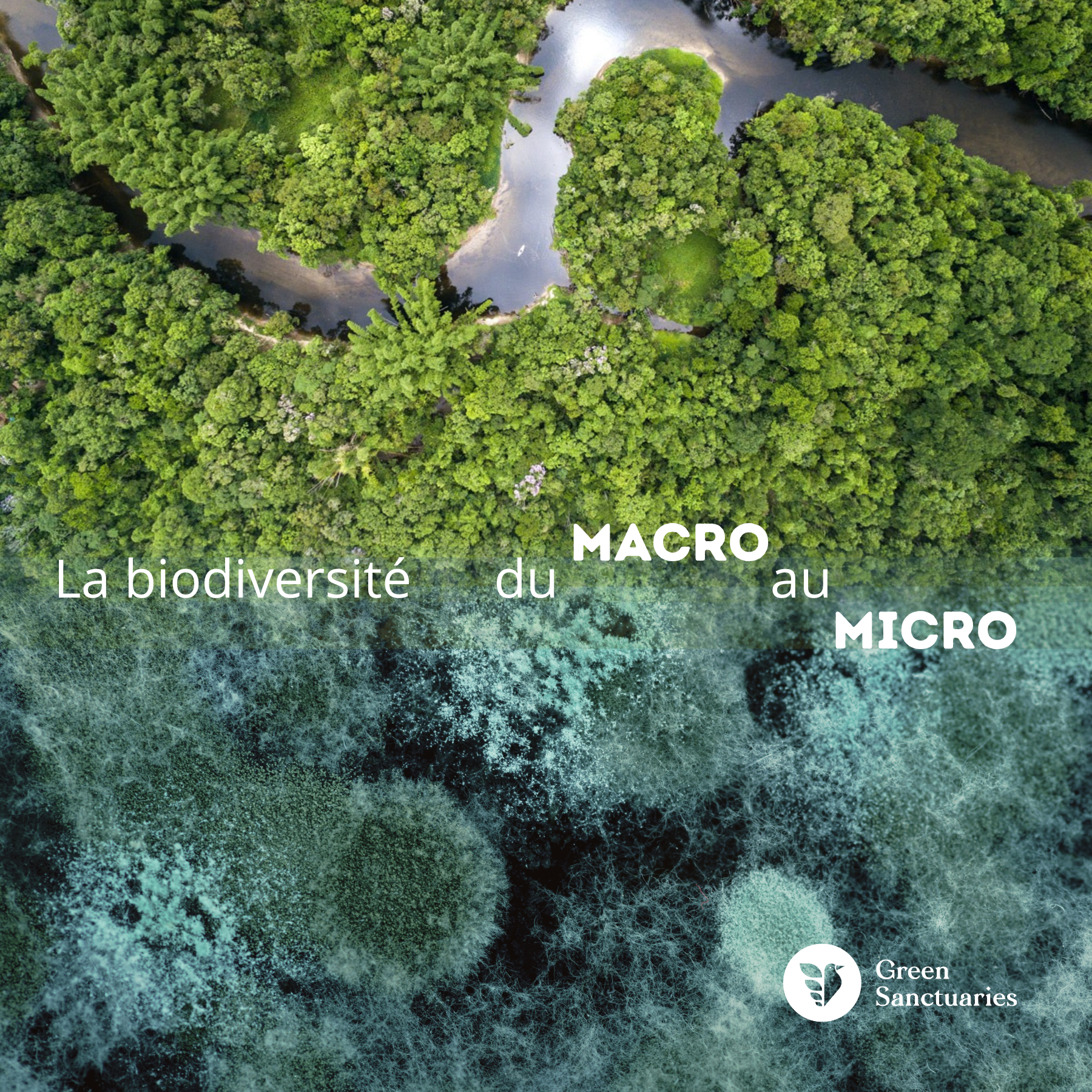 La biodiversité n’est pas seulement autour de nous. Elle est en nous.