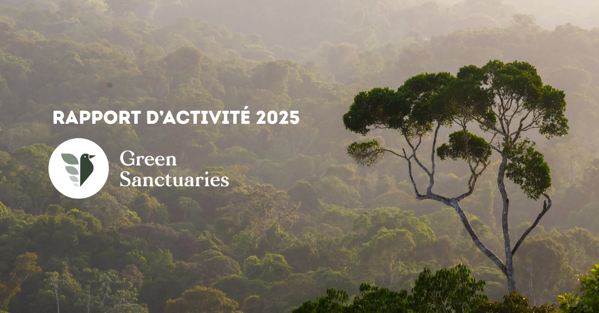 Notre rapport d’activités 2025